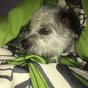 Meet your Posher, Bethany